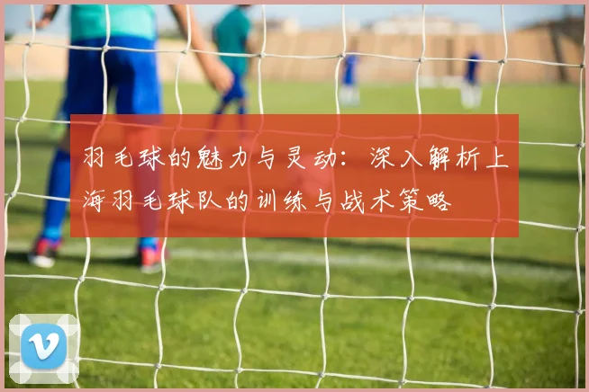 羽毛球的魅力与灵动：深入解析上海羽毛球队的训练与战术策略