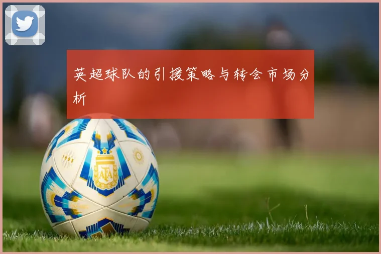 英超球队的引援策略与转会市场分析