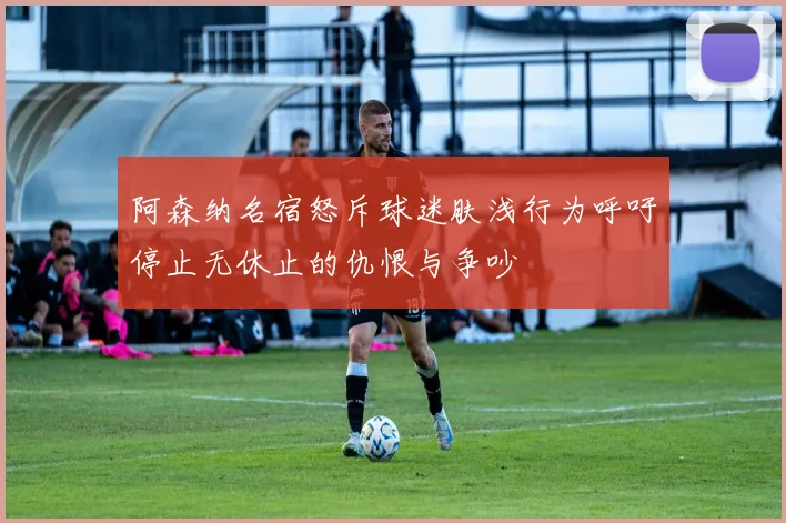 阿森纳名宿怒斥球迷肤浅行为呼吁停止无休止的仇恨与争吵
