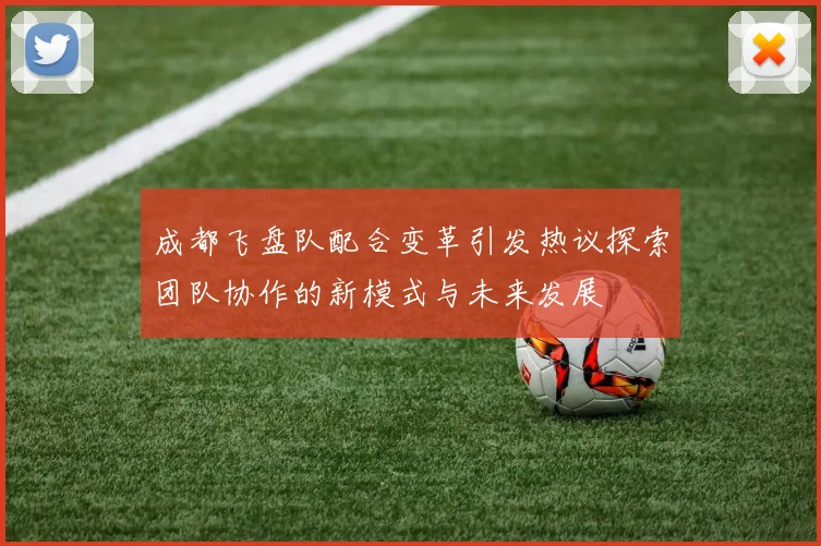 成都飞盘队配合变革引发热议探索团队协作的新模式与未来发展