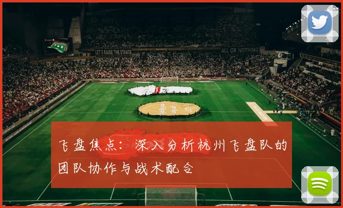 飞盘焦点：深入分析杭州飞盘队的团队协作与战术配合